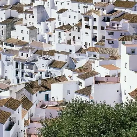 Country house Casa Casares: Stylish Retreat With Pool And Terraces *